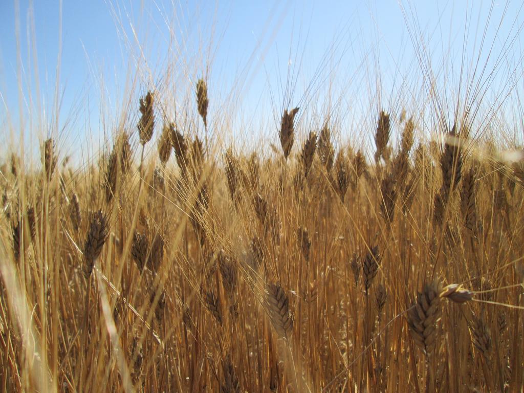 A Giummara Marsala Exterior foto