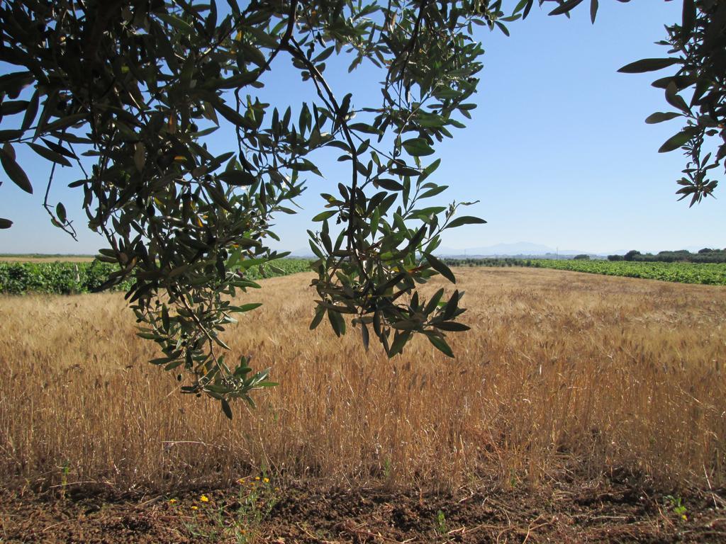 A Giummara Marsala Exterior foto